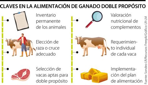 La Alimentaci N Doble Prop Sito Todo Un Reto T Cnico Y Presupuestal