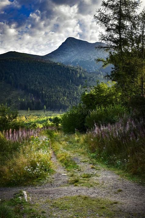 Morning View of the Top of the Mountain Stock Photo - Image of sunset, mountains: 110774886