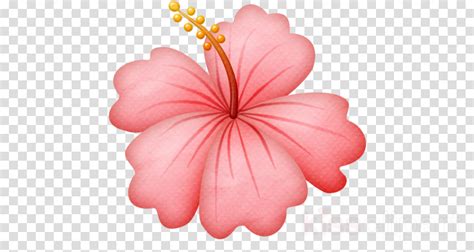 Hawaiian Flowers Png Clipart Hawaii Flower Clip Art Clip Art Free