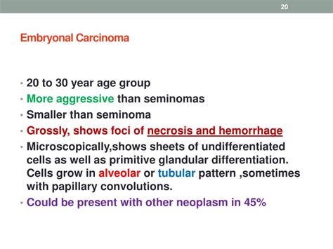 Ppt Testicular Pathology Powerpoint Presentation Free Download Id