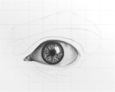 How To Draw Realistic Eyes For Beginners Howto Techno