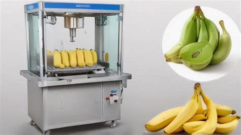 Top Pattal Banane Wala Machine Manufacturer In China Comprehensive