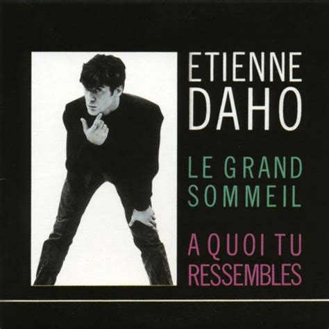 Etienne Daho Le Grand Sommeil Digital Single 2005 Maniadb