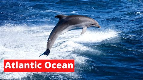 History Of Atlantic Ocean Mysterious Facts About Atlantic Ocean Youtube