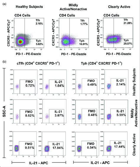 Representative Example Of Ctfh Cd Cxcr Pd And Tph Cd Cxcr