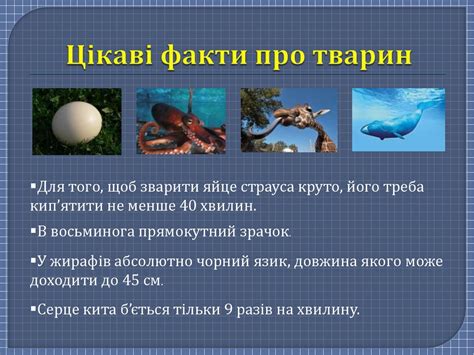 Цікаві факти про тварин. Незвичайні рослини світу - презентация онлайн