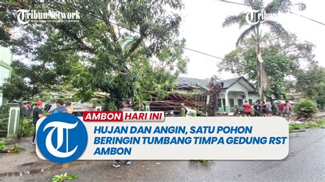 Hujan Dan Angin Satu Pohon Beringin Tumbang Timpa Gedung RST Ambon