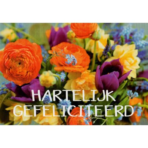 Hartelijk Gefeliciteerd Wenskaarten Groothandel Poskaart