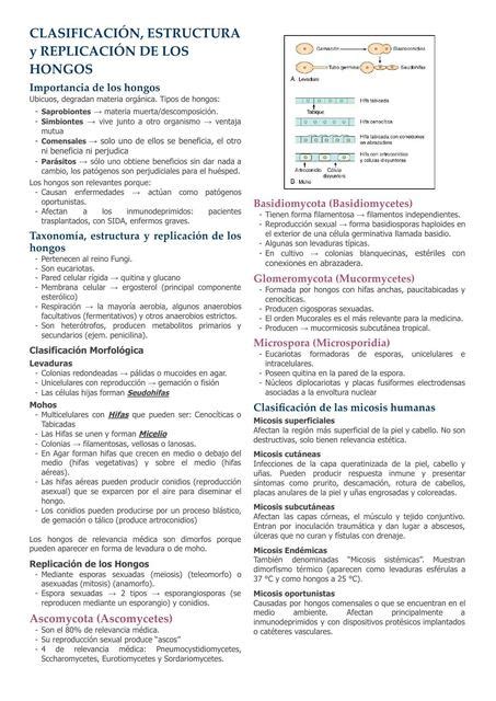 57 Clasificación estructura y replicación de los hongos Murray