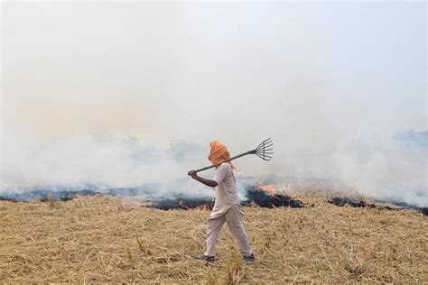 Punjab Reports Fresh Incidents Of Stubble Burning