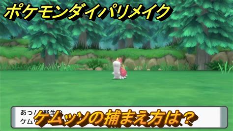 ポケモンダイパリメイク ケムッソの捕まえ方は？出現場所は？ 最新版【ブリリアントダイヤモンド・シャイニングパール】 Youtube