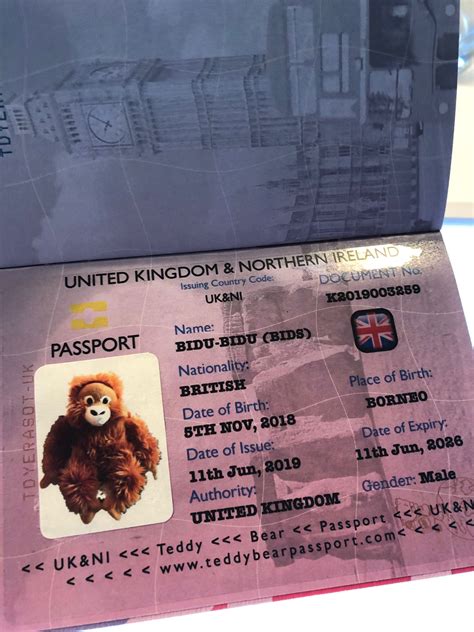 Teddy Bear Passport Uk Bears Come In All Shapes And Sizes Travelling The World To Create