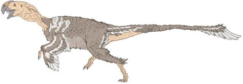 Oviraptor In Color By Tomozaurus On Deviantart