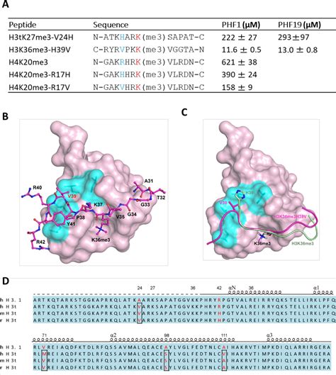 Structural Basis For Histone Variant H3tK27me3 Recognition By PHF1 And