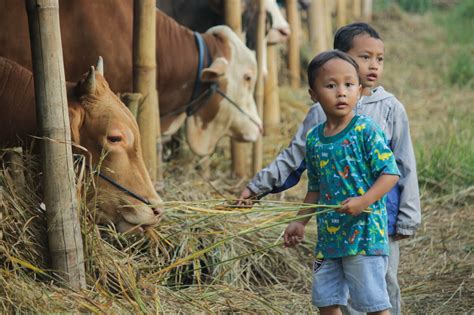 Jelang Idul Adha 35 Petugas Siap Periksa Kesehatan Hewan Kurban