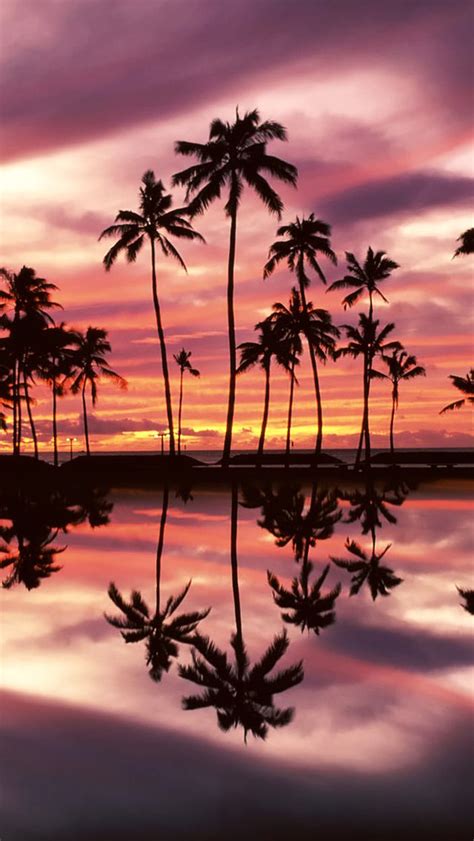 Hawaiian Iphone Wallpaper