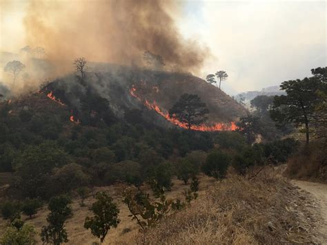 Se Registra Incendio En El Cerro De San Juan En Los Límites De Tepic Y