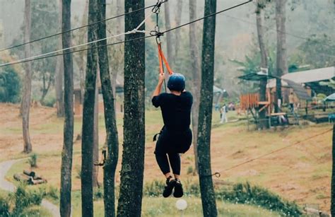 Flying Fox Seru Di Bandung Orchid Forest Cikole Tempatnya GenPI Co