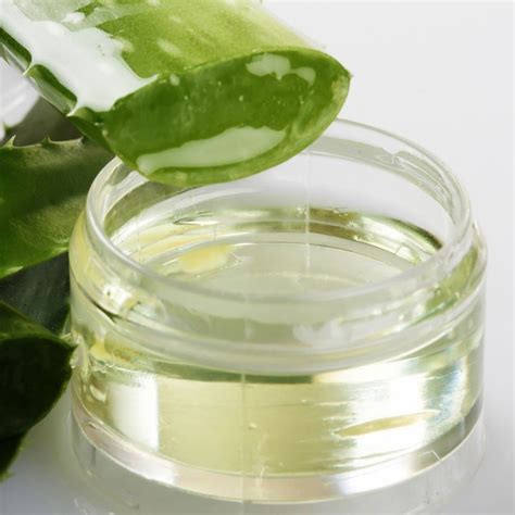 Pure Organic THICK Aloe Vera Gel Anti Aging Skin Care 8oz Etsy