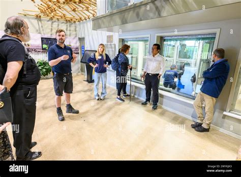 Chimpanzee Edinburgh Zoo Budongo Trail Research Team Stock Photo Alamy