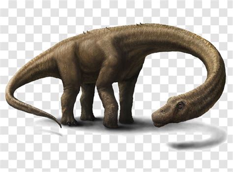 Dreadnoughtus Dinosaur Size Tyrannosaurus Worlds Largest Fauna