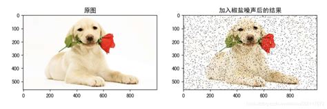 Opencv 图像平滑：椒盐噪声、高斯噪声、平均滤波、高斯滤波、中值滤波高斯噪声图片 Csdn博客