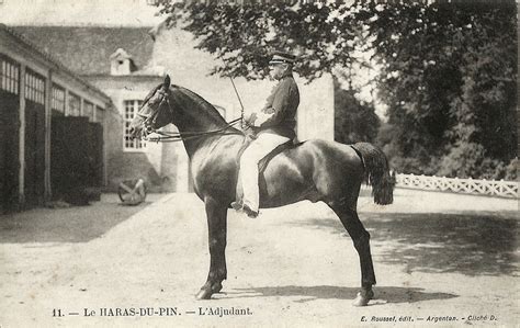 Le Pin Au Haras Le Haras Du Pin L Adjudant Vroeger En Vandaag