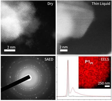 In Situ Tem Lattice Resolution Imaging And Quantitative Spectroscopy In Thin Liquid