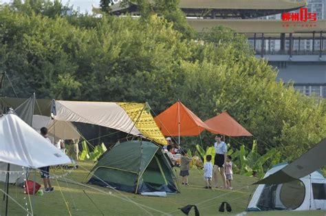 外地游客在吃吃吃，柳州人忙着搭帐篷！这个假期露营又火了！财经头条