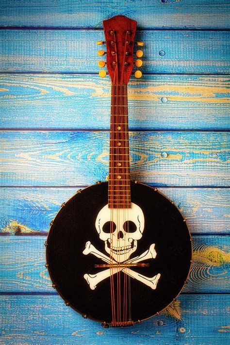 Skull And Cross Bones Banjo Photograph By Garry Gay Fine Art America