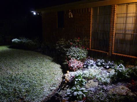 When Did It Last Snow In Houston Texas Hubpages