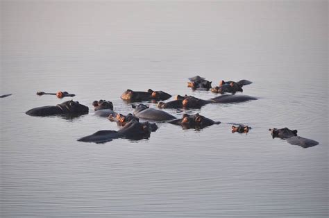 Voyage Afrique Du Sud Sur Mesure Voyageurs Du Monde