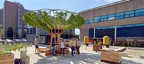 The Many Tree Installation By Studio JNBR At Dutch Desgin Week 2023