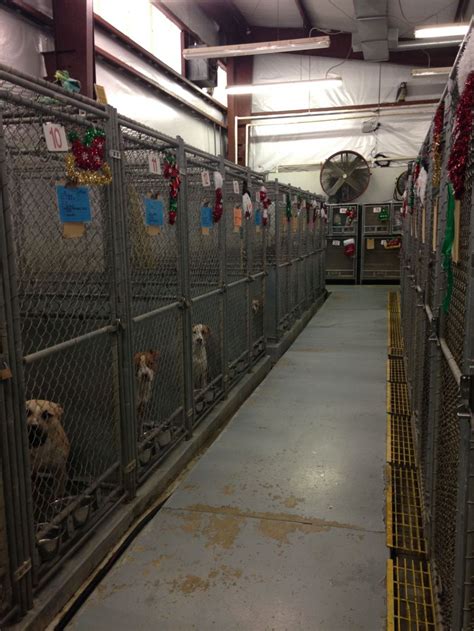 Anonymous donors give $1 million to expand Lorain County Dog Kennel