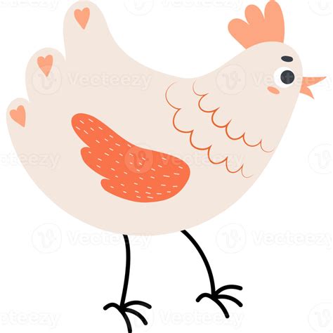 Cute Chicken Domestic Bird 20372221 Png