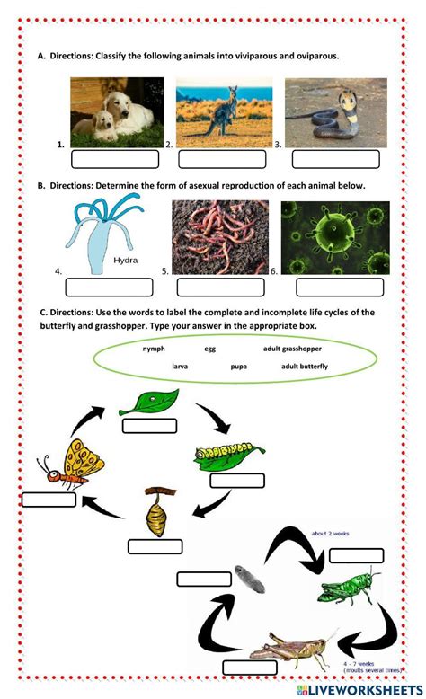 Animal Reproduction And Animal Life Cycles Worksheet Live Worksheets