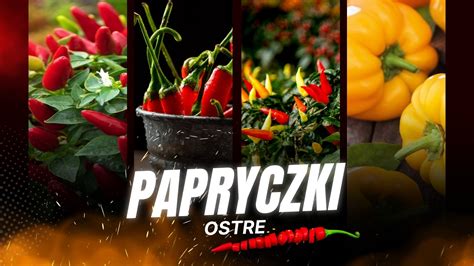 Ostre Papryczki Jak Je Uprawia W Domu I Ogrodzie Cebule Kwiatowe Pl