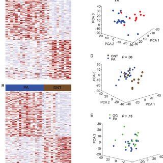 Variation In Gene Expression Profiles Across Different Histological