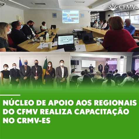 Núcleo de Apoio aos Regionais do CFMV realiza capacitação no CRMV ES CFMV