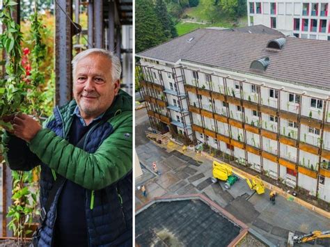 größte Grünfassade Vorarlbergs Conrad Amber lässt AK Wand erblühen