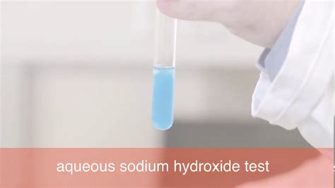 Igcse Lab Tests For Aqueous Cations 2 Youtube