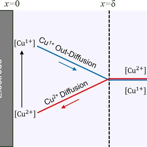 Schematic Representation Of The Diffusion And Electrochemical Reaction