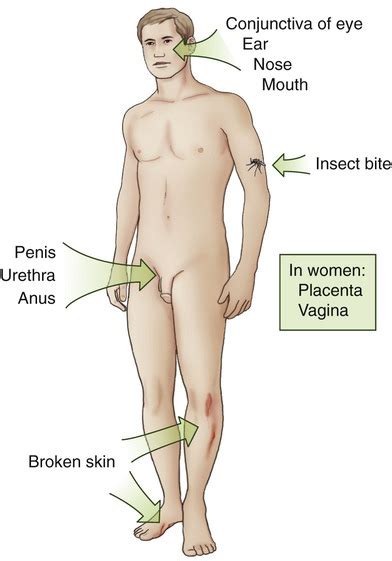 Infection And Disease Clinical Gate