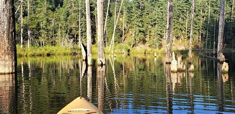 Little Cranberry Lake Water Free Photo On Pixabay Pixabay