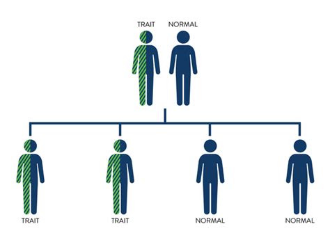 Understanding Sickle Cell Anemia Causes Symptoms And Future Treatments