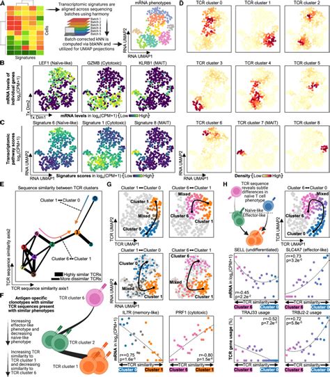 T Cell Receptor Sequences Are The Dominant Factor Contributing To The