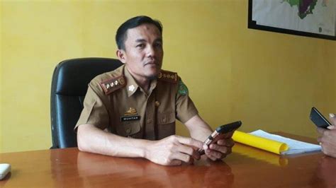 Dinas Pertanian Luwu Timur Siapkan Rp 7 5 M Pengadaan Bibit Kakao