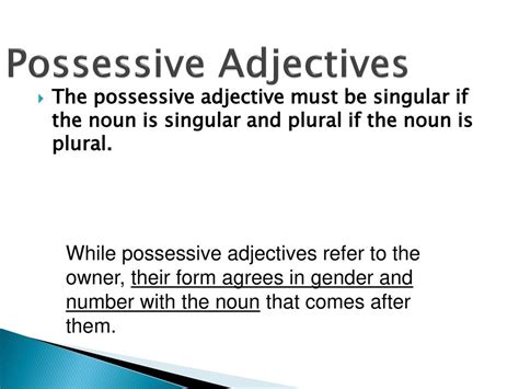 Possessive Adjectives - ppt download