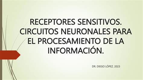 Receptores Sensitivos Circuitos Neuronales Pptx