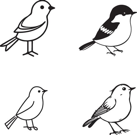 black and white drawing of birds outline 44864981 Vector Art at Vecteezy